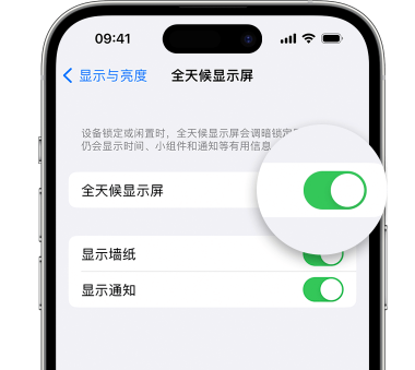 张家口苹果15预约维修分享iPhone15如何设置全天候显示屏幕可见 