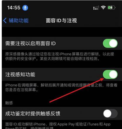 张家口苹果14维修网点分享iPhone14注视感知功能有什么用 