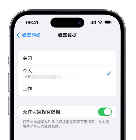 张家口苹果维修服务分享如何在iPhone上使用双卡 